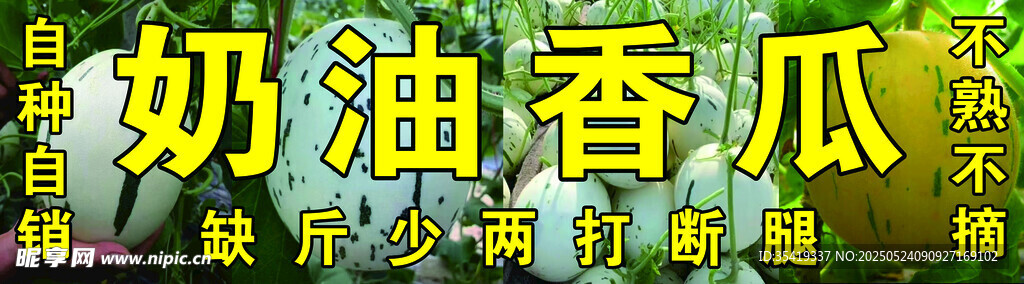 奶油香瓜宣传展示图