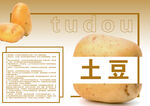 新鲜土豆展示及相关介绍