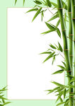 翠竹边框