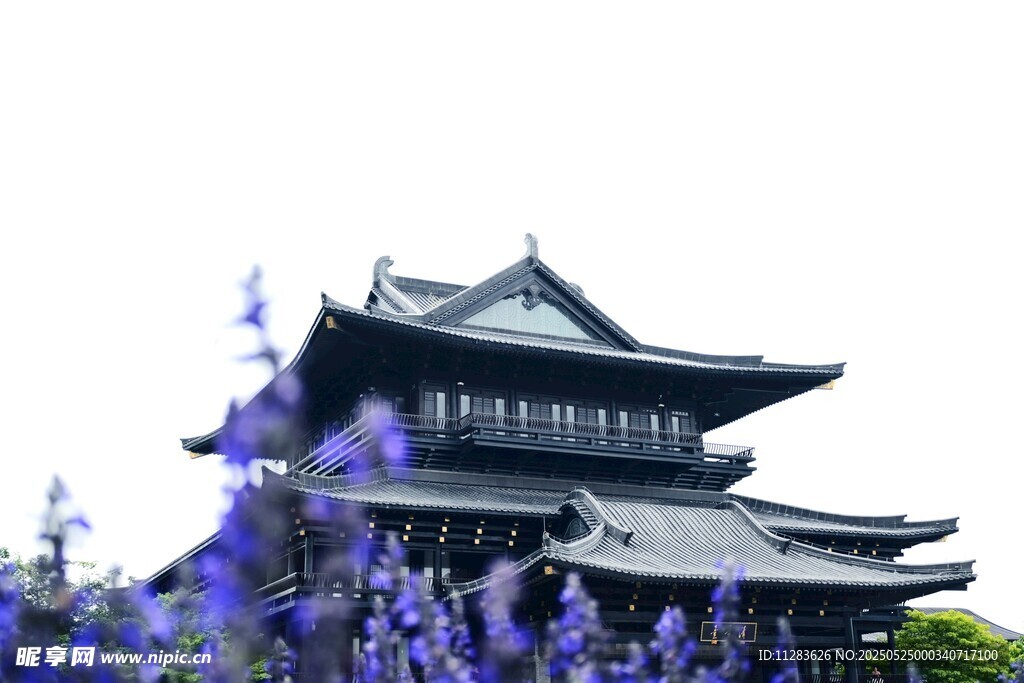 古建旁绽放的紫色花卉