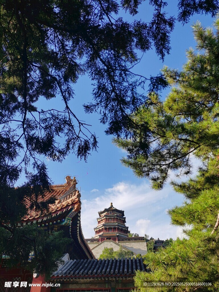 古建掩映于绿树蓝天间