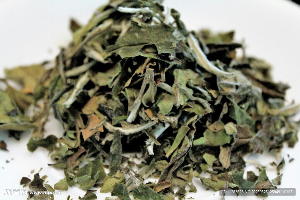 一堆新鲜的绿茶叶
