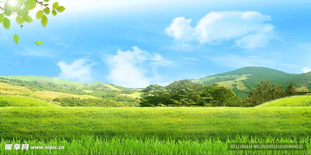 蓝天白云绿草地