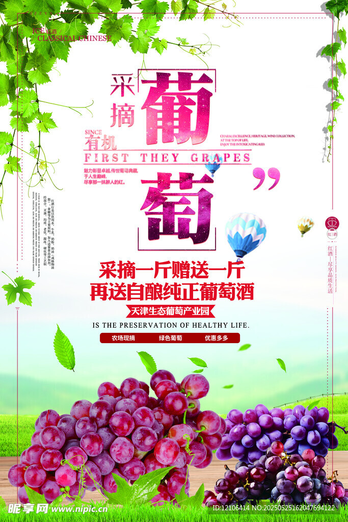 葡萄海报