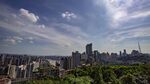 城市天际线与葱郁绿植景观