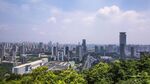 俯瞰城市高楼与葱郁绿植