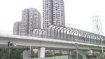 城市高架与高楼景观