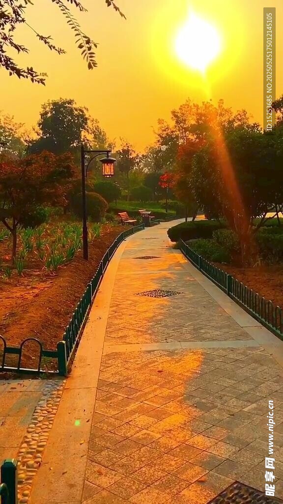 夕阳下的林间小道