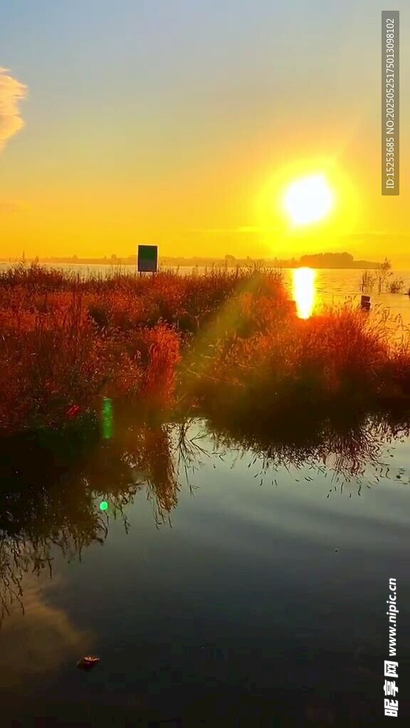 夕阳下的湿地美景