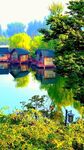 湖畔美景 绿植环绕的水乡