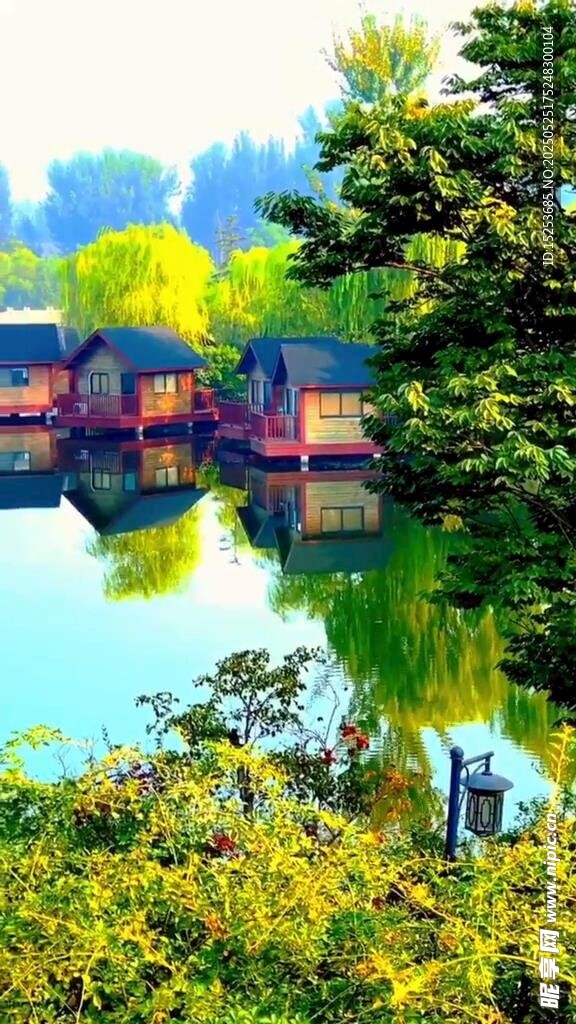 湖畔美景 绿植环绕的水乡