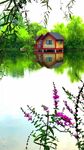 湖畔小屋伴繁花美景