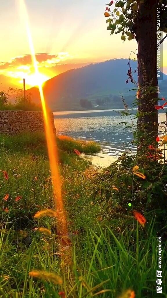夕阳下的草地与远方景色