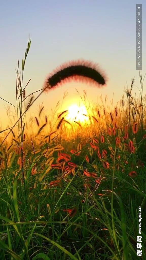 夕阳下的草地与拱形物体