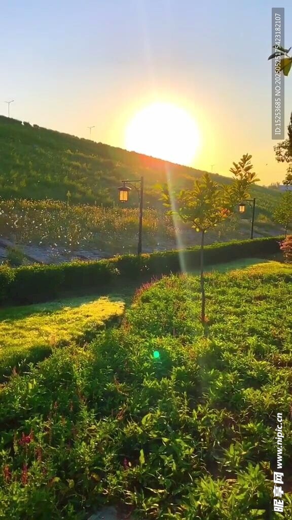夕阳下的翠绿田野风光