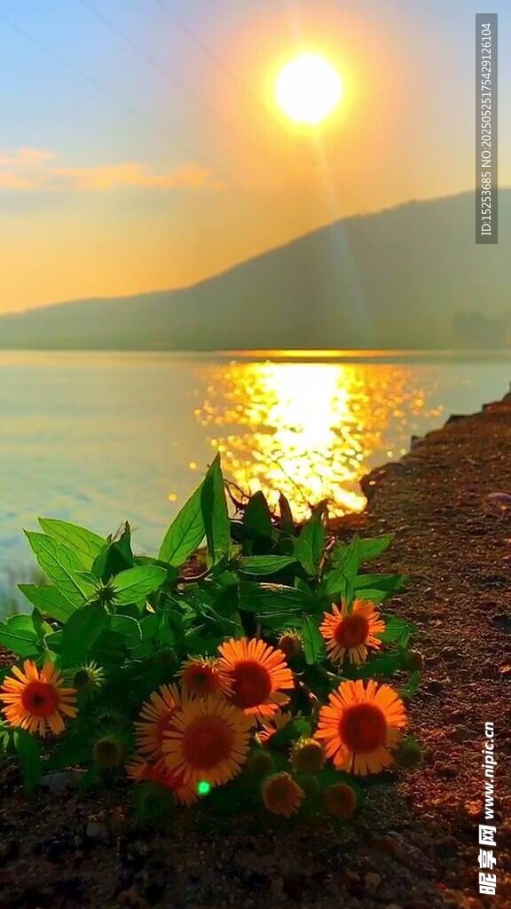 湖畔日出伴繁花美景