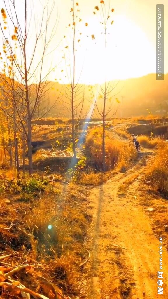 夕阳下的乡间小路