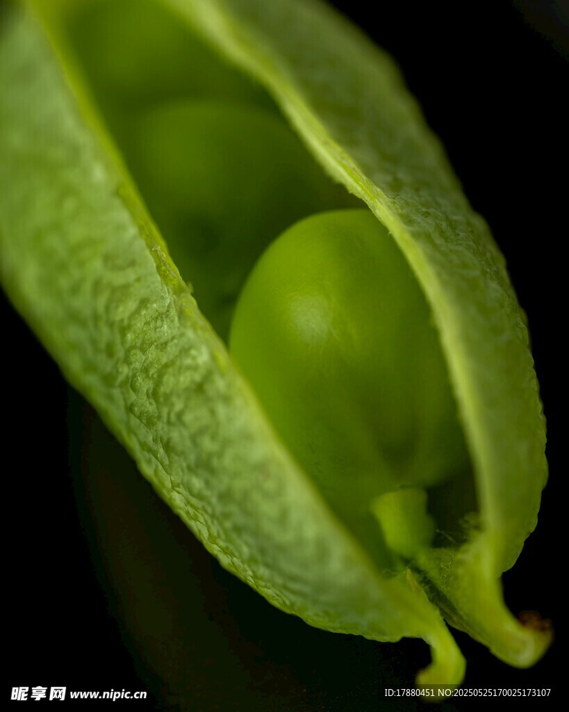 青豆荚