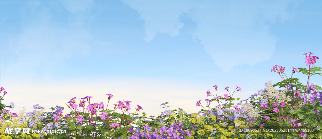 蓝天花朵背景