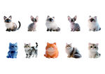 可爱猫咪集合