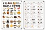 常见菌菇的区别及营养价值