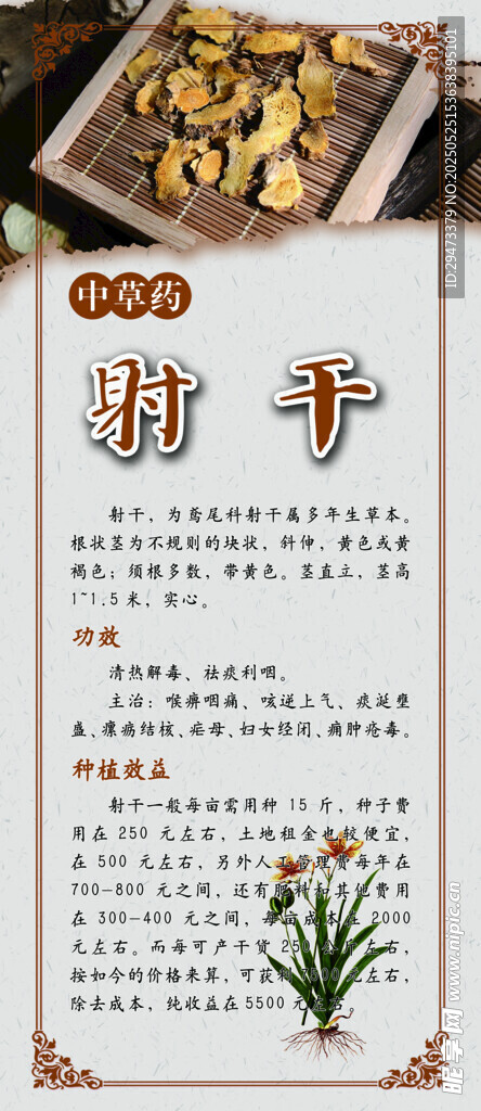 中药材展板 射干