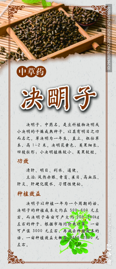 中药材展板 决明子