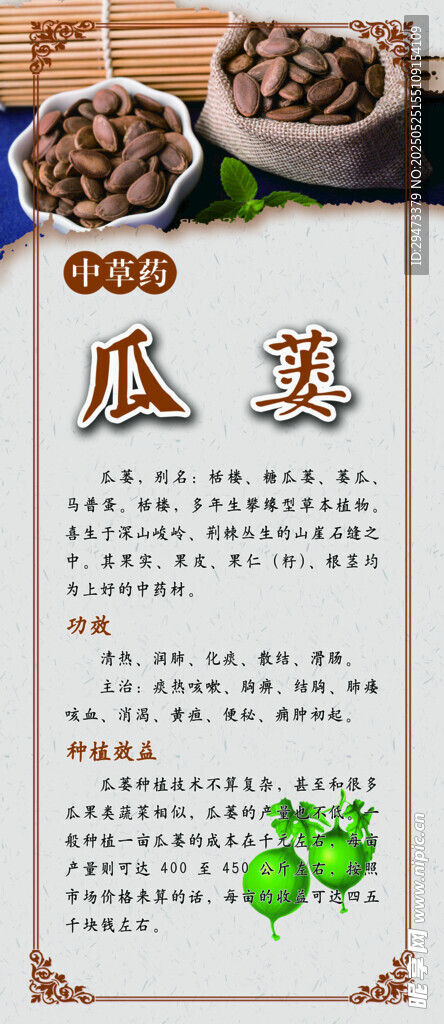 中药材展板 瓜蒌