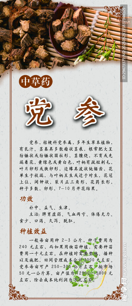  中药材展板 党参