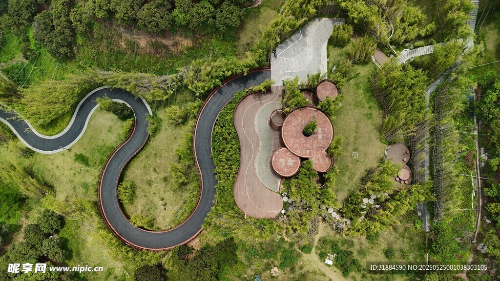 蜿蜒道路旁的绿意景观