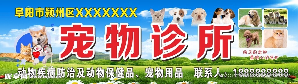 宠物诊所