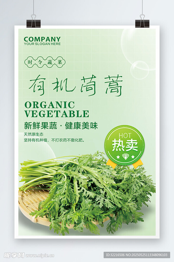 有机茼蒿蔬菜海报