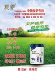 关爱肾脏健康宣传海报