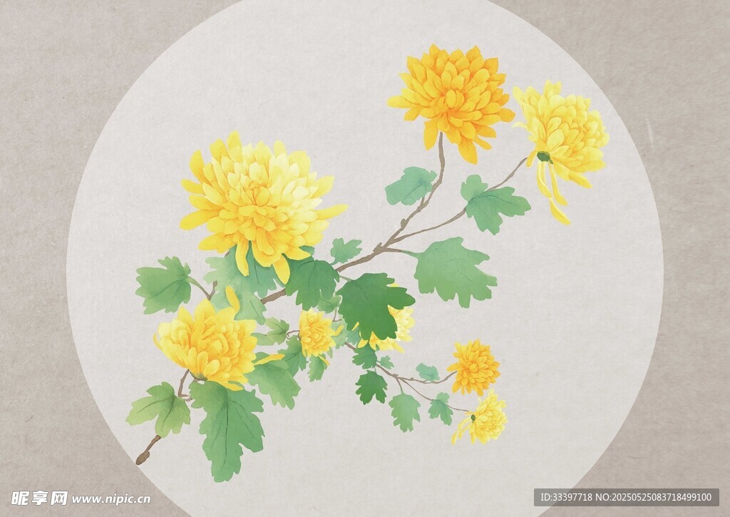 古典菊花背景