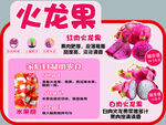 红心火龙果促销宣传海报