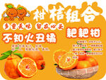 柑桔组合多样美味水果