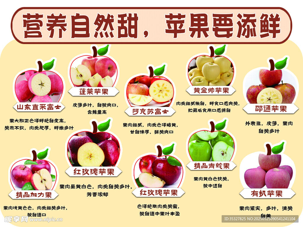 苹果营养渐变展示图
