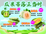 瓜果蒂落季新鲜果蔬登场
