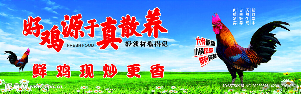 优质散养土鸡 绿色健康