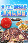 皇帝蟹
