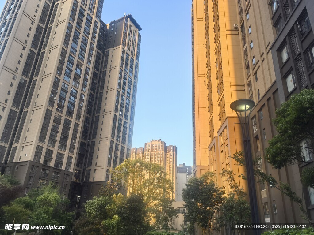 城市高楼间的绿植景观