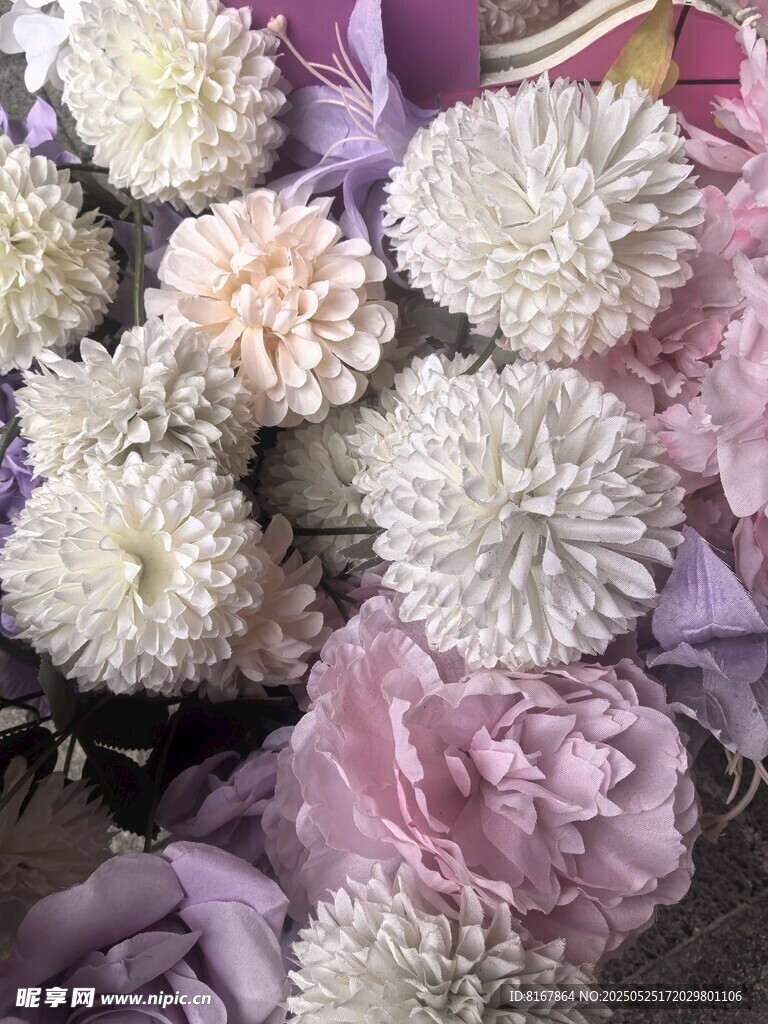 多彩花卉组合