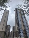 城市高楼景观