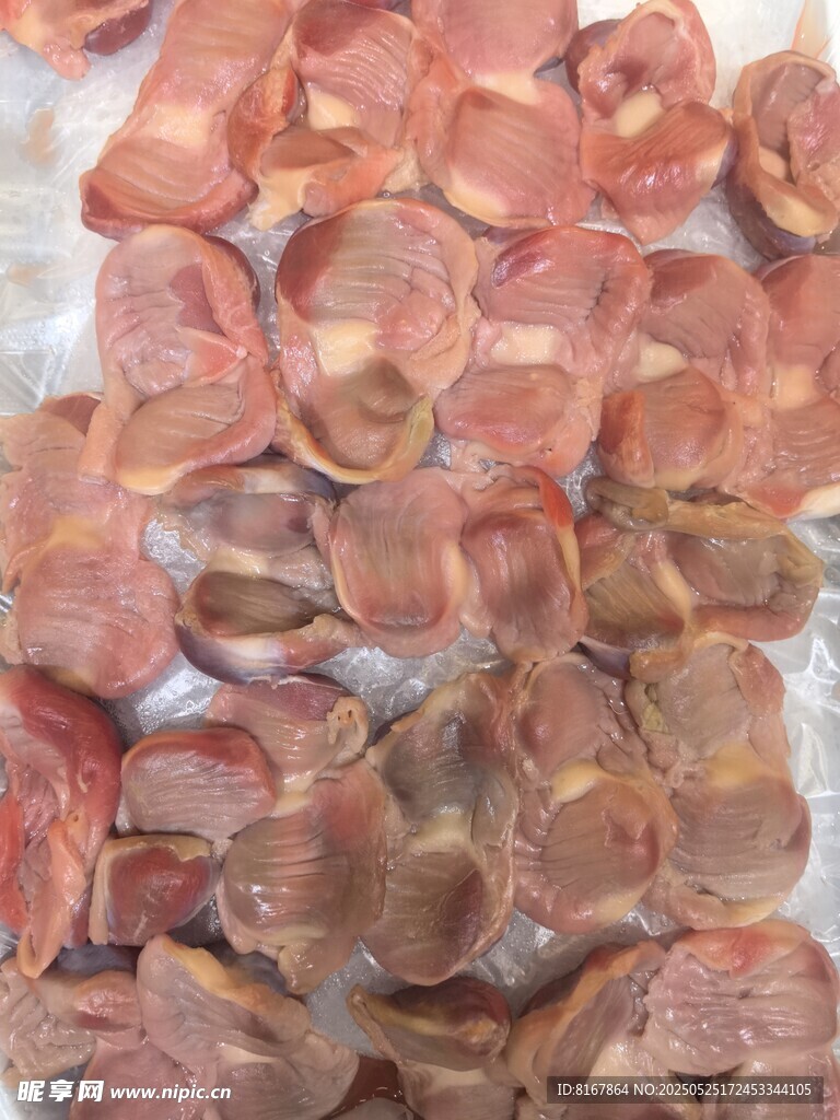 鸡菌