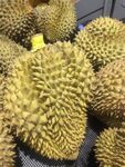 新鲜饱满的榴莲果实