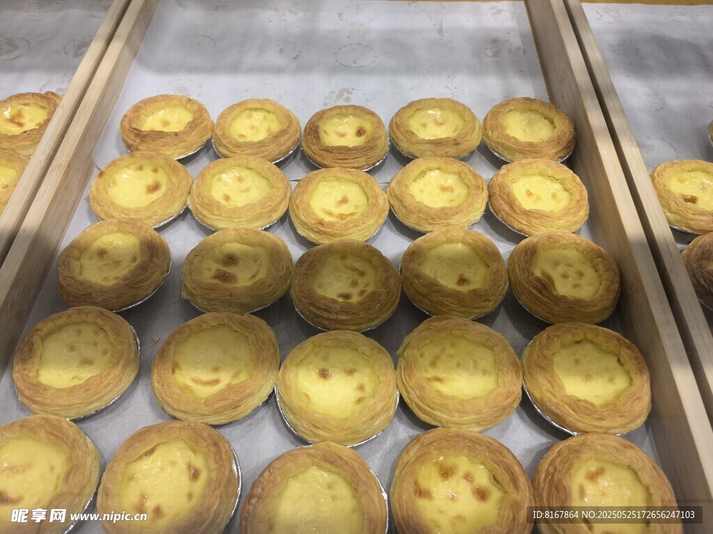 美味蛋挞整齐排列