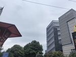 城市中的现代建筑与绿植