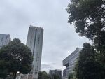 城市高楼与绿树景观