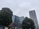 城市中的高楼与绿树景观