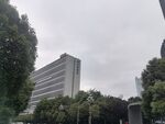 城市中树木环绕的高楼